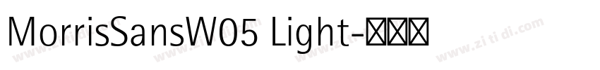MorrisSansW05 Light字体转换